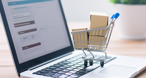 Maximizing Profits with Top E-commerce Platforms
